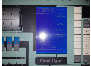 Avolites Pearl Tiger (37275)