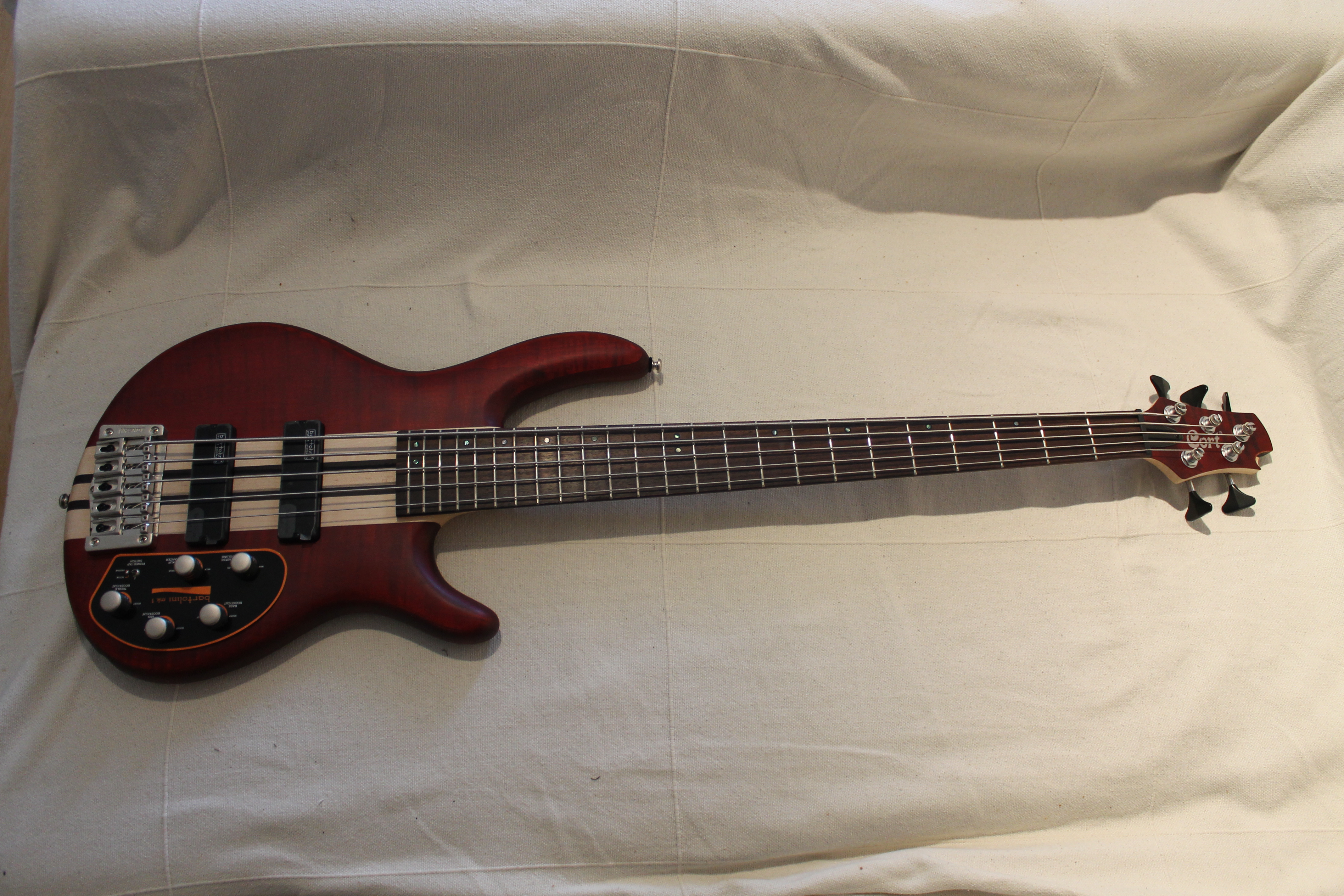 Cort A5 Plus FMMH : Test Cort Artisan Photo A5 3.JPG