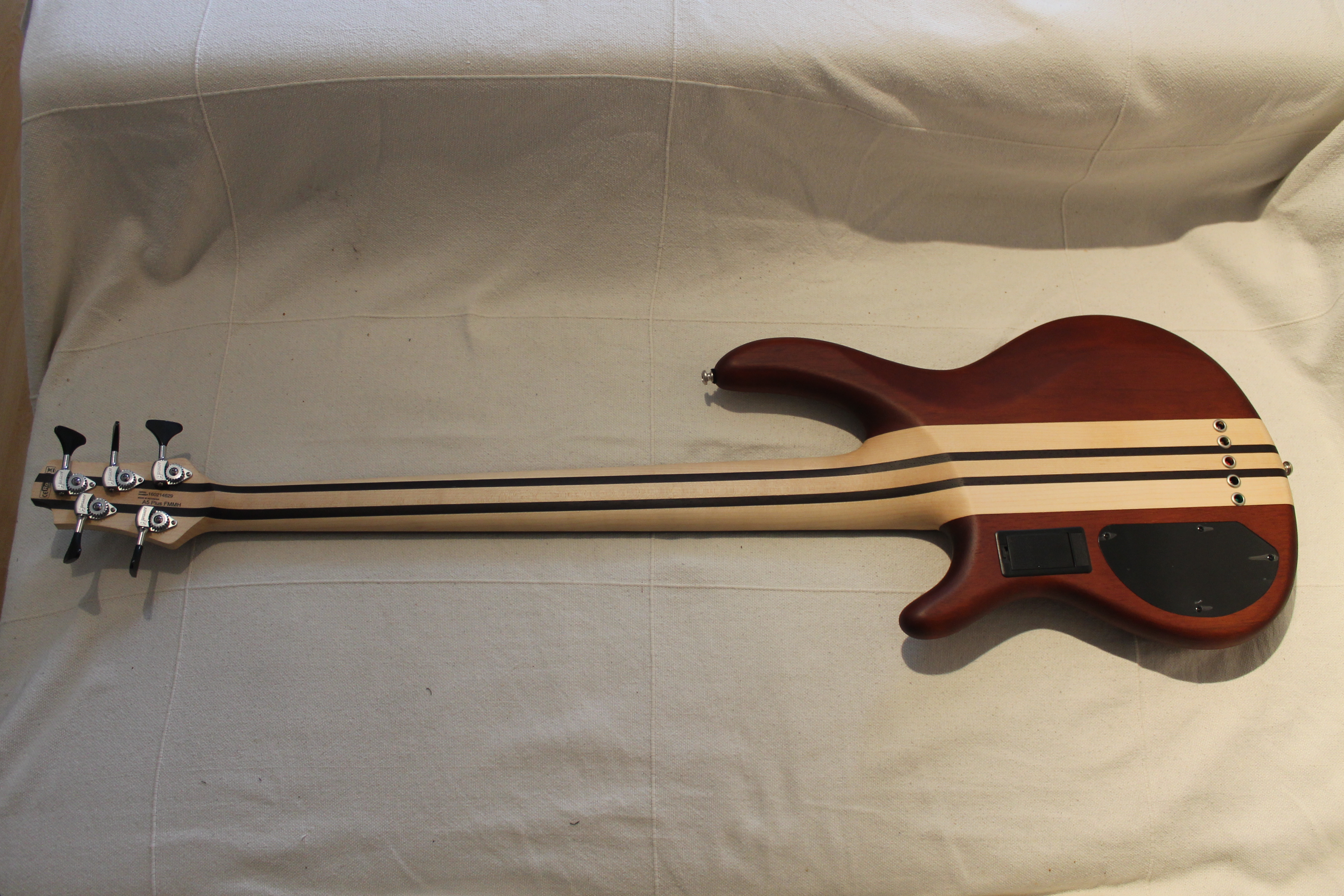 Cort A5 Plus FMMH : Test Cort Artisan Photo A5 6.JPG