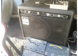 Ampeg b 1 2