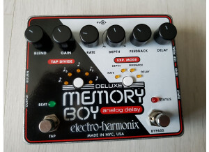 Electro-Harmonix Deluxe Memory Boy (67497)