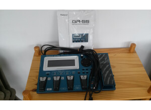 Roland GR-55GK (72047)
