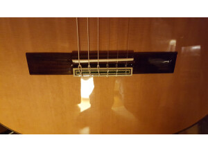 Alhambra Guitars 9P CW E2 (38309)