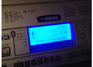 Yamaha DGX-300 (59931)