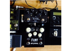 Strymon Flint (72150)