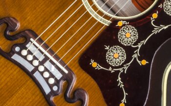 Gibson SJ-200 Vintage : SJ22VNGH1 PLASTICS PANEL 01 Gibson SJ-200 Vintage : SJ22VNGH1 PLASTICS PANEL 01