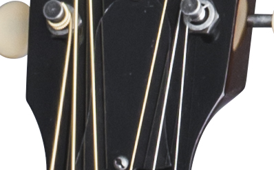 Gibson L-00 Vintage : LSLVVSNH1 PLASTICS PANEL 02