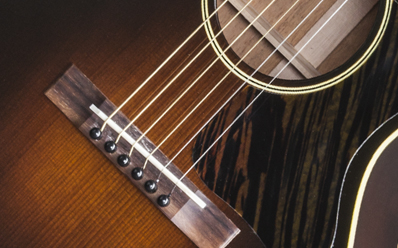 Gibson L-00 Vintage : LSLVVSNH1 PLASTICS PANEL 01