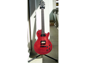 Gibson Les Paul BFG (19722)