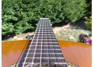 Alhambra Guitars 3C (26181)