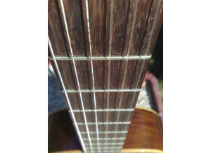 Alhambra Guitars 3C (47561)
