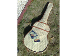 Alhambra Guitars 3C (41005)