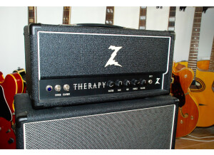 Dr. Z Amplification Therapy (83782)