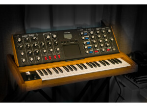 Moog Music Minimoog Voyager Performer Edition (87339)