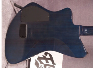 30U 14529 body back