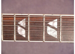 30U 14529 inlays