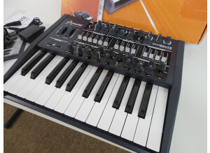 Arturia MiniBrute (78009)