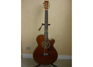 Tanglewood TW47 E (91818)