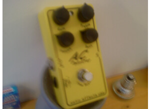 Xotic Effects AC Booster (91301)
