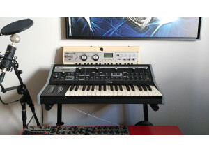 Moog Music Little Phatty Stage II (34453)