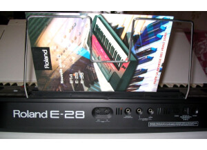 Roland E-28 (222)