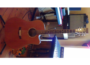 Tanglewood TW28 CSN CE (3285)