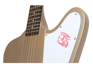 Epiphone Joe Bonamassa "Treasure" Firebird-I Outfit (11541)