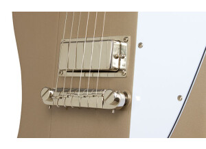 Epiphone Joe Bonamassa "Treasure" Firebird-I Outfit (91701)