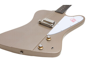 Epiphone Joe Bonamassa "Treasure" Firebird-I Outfit (84168)