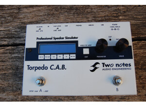 Two Notes Audio Engineering Torpedo C.A.B. (Cabinets in A Box) (17207)