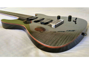 Chapman Guitars ML-1 (53753)