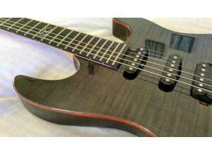Chapman Guitars ML-1 (27523)