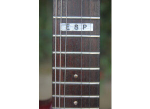 ESP Vintage Plus (Vintage) (89346)