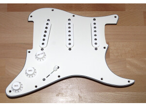 Fender Texas Special