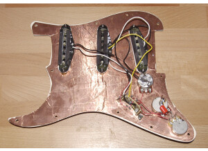Fender Texas Special