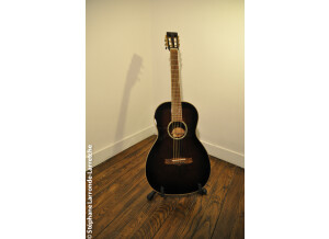 Tanglewood TW73 VS (66024)