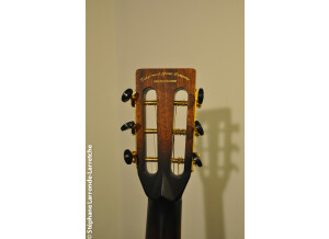 Tanglewood TW73 VS (59559)