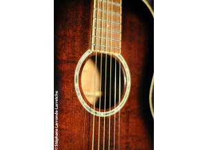 Tanglewood TW73 VS (30599)