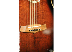 Tanglewood TW73 VS (39536)