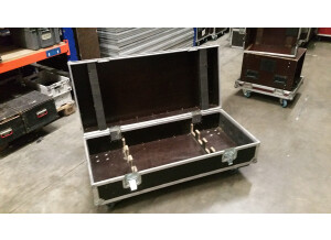 Bach Vincent Flight Case (34065)