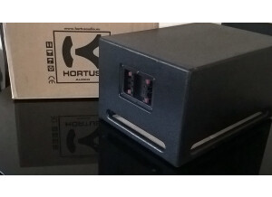 Hortus Audio CT50s