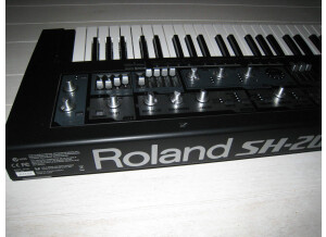 Roland SH-201 (72755)