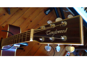 Tanglewood TW28 CSN CE (49196)