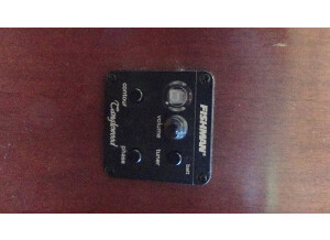 Tanglewood TW28 CSN CE (39152)