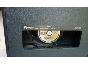 Egnater Tweaker-112 (36692)
