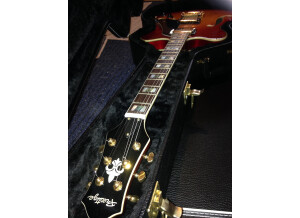 Prestige Guitars Pro DC (40050)