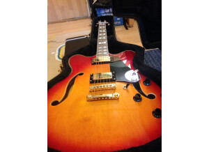 Prestige Guitars Pro DC (48875)