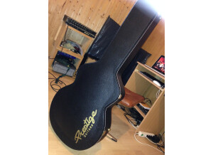 Prestige Guitars Pro DC (67096)
