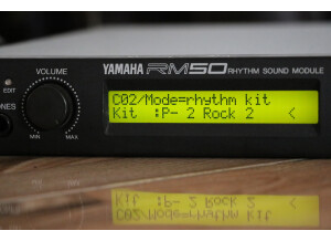 Yamaha RY30 (12791)