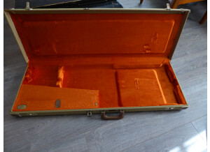 Fender Strat/Tele Multi-Fit Hardshell Case (185)